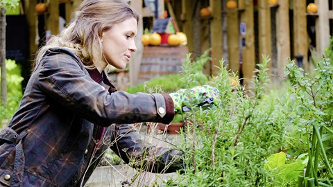 potagers urbains